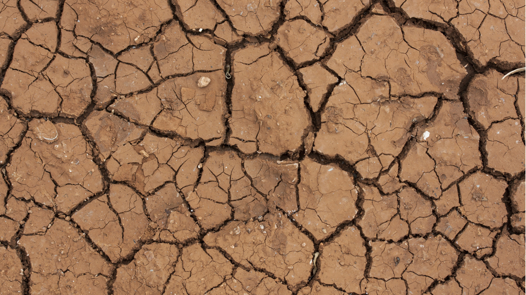 spaccature nel terreno, siccità