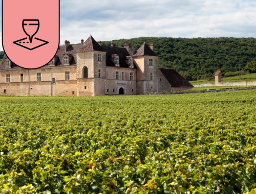 Immagine di copertina con uno chateau di Bordeaux